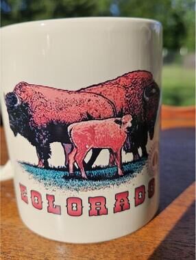 Colorado 18 oz. Coffee Mug - Excellent Condition!